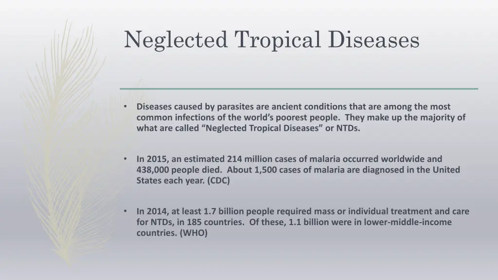 neglected tropical diseases