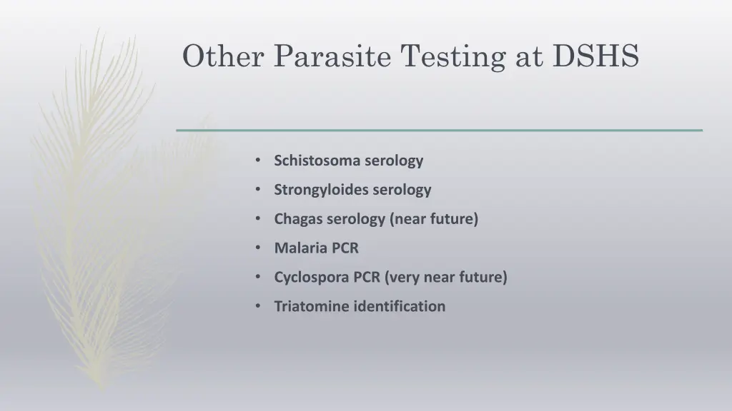 other parasite testing at dshs