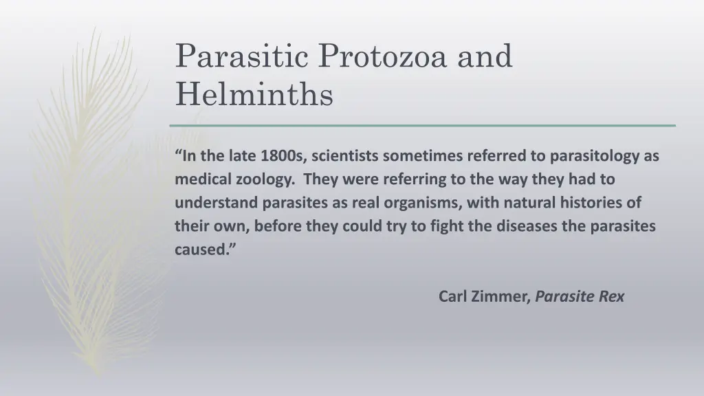 parasitic protozoa and helminths