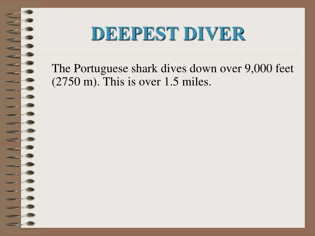 deepest diver