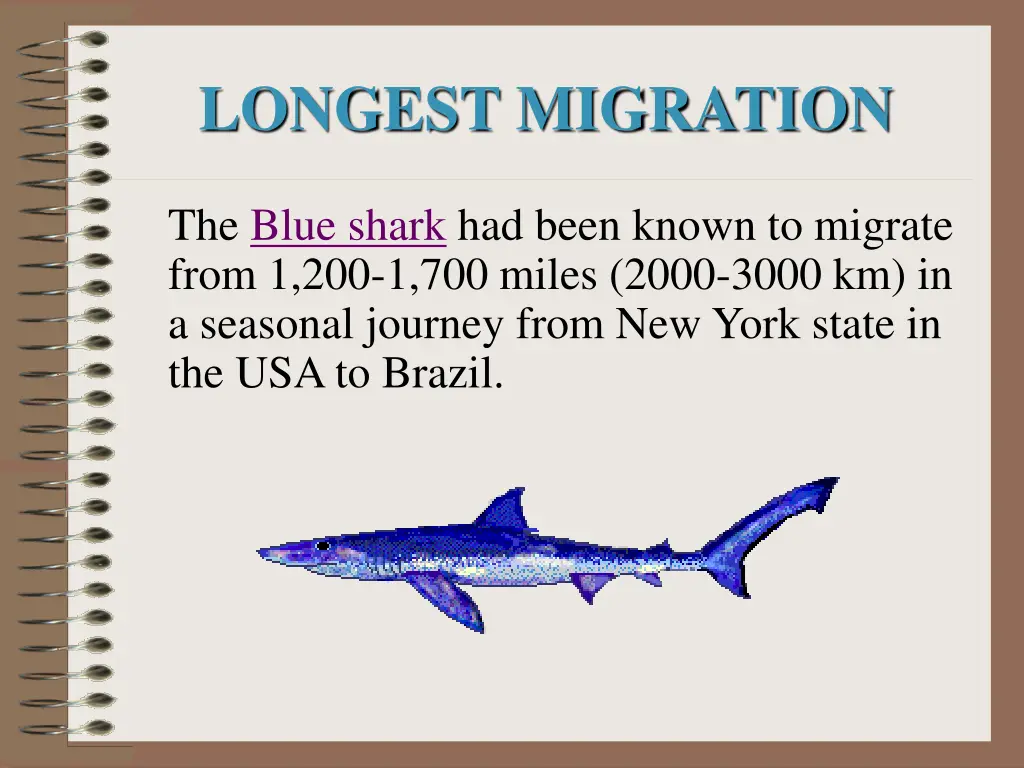 longest migration