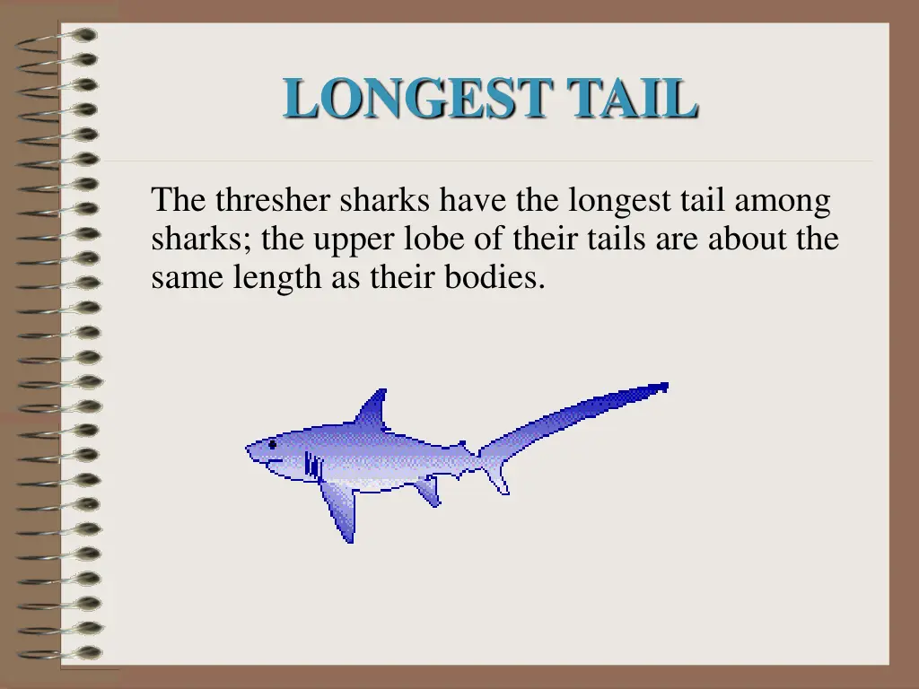 longest tail