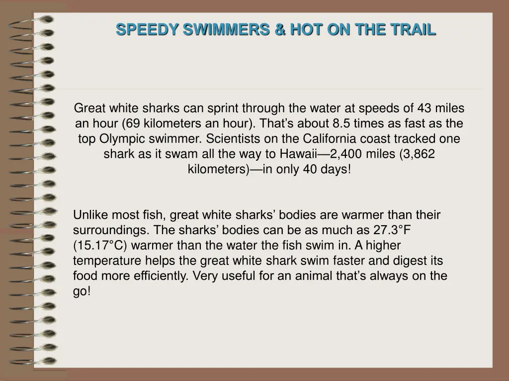 speedy swimmers hot on the trail