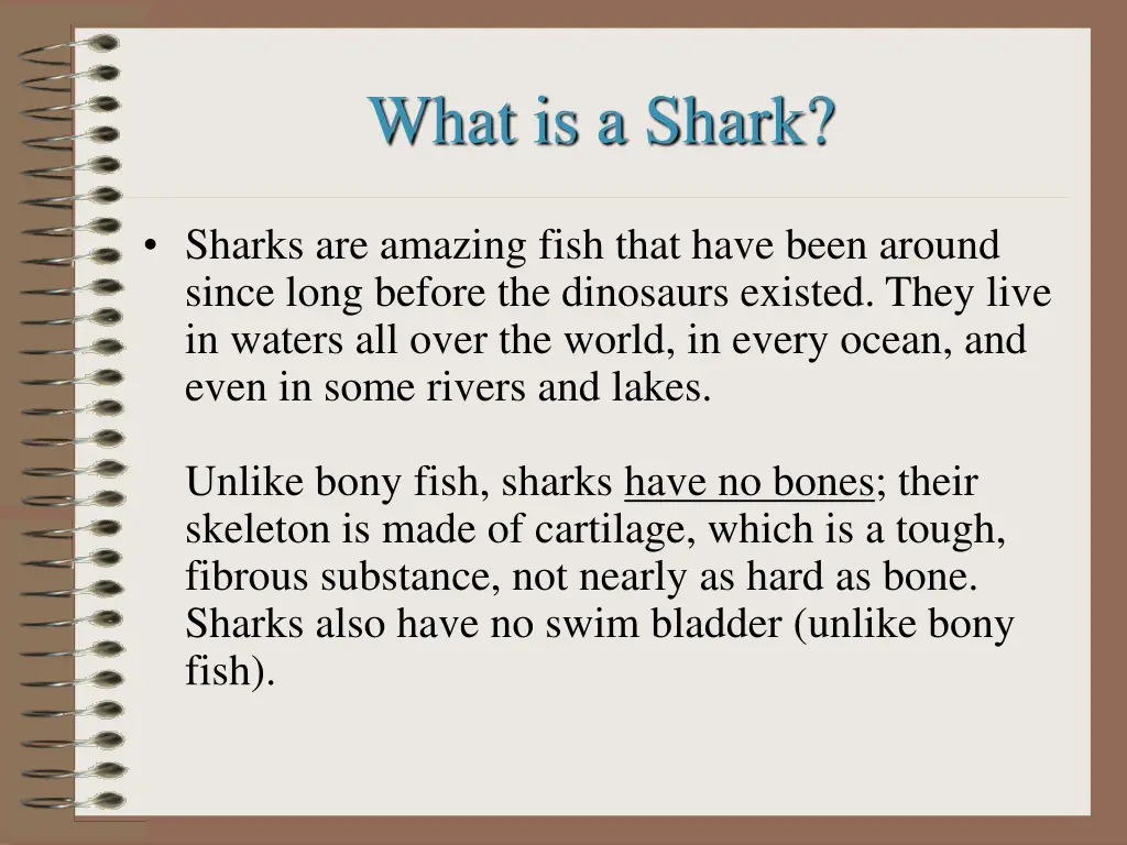 what is a shark