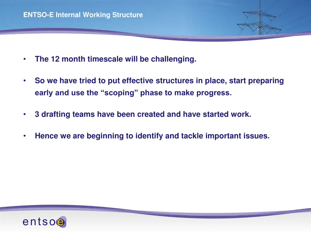 entso e internal working structure