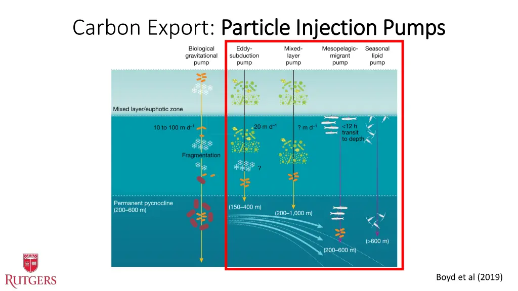 carbon export particle injection pumps particle