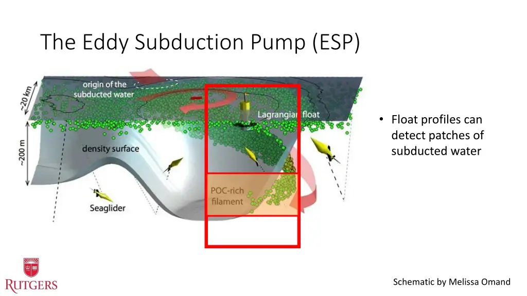 the eddy subduction pump esp 3