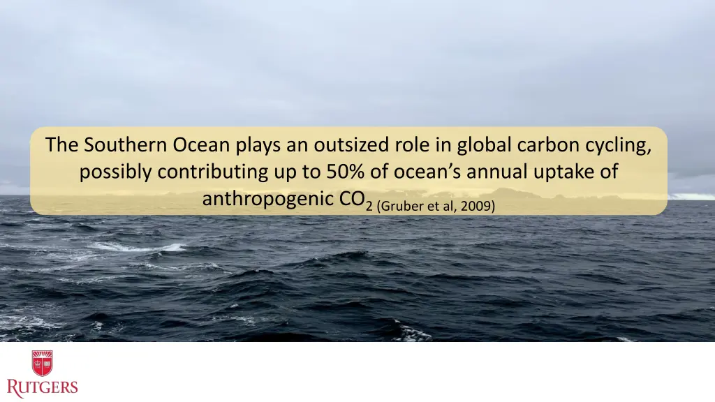 the southern ocean plays an outsized role