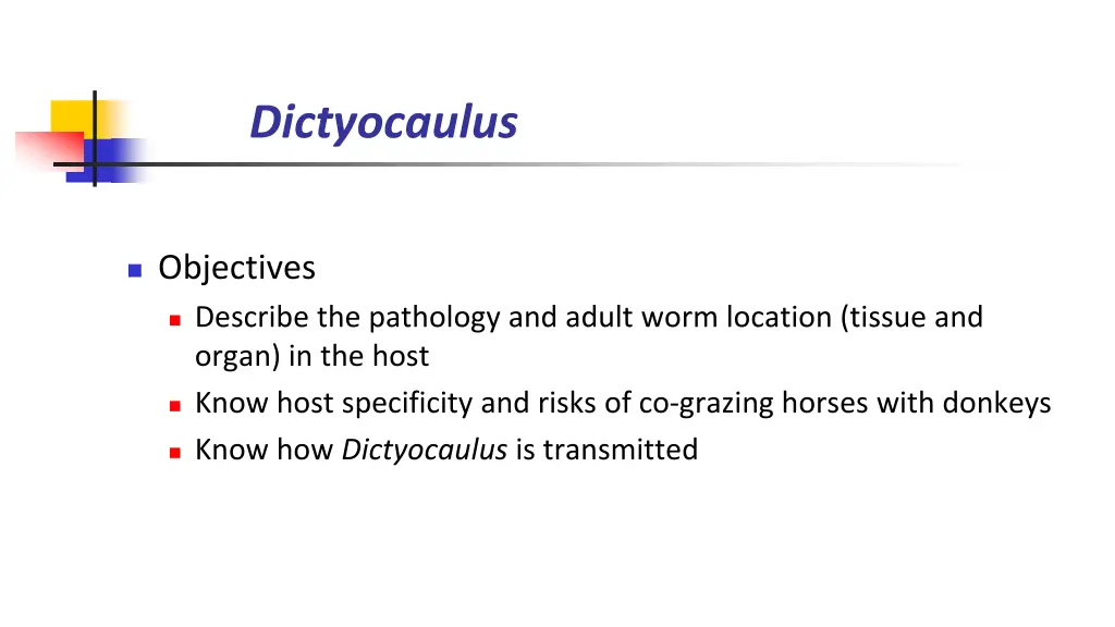 dictyocaulus