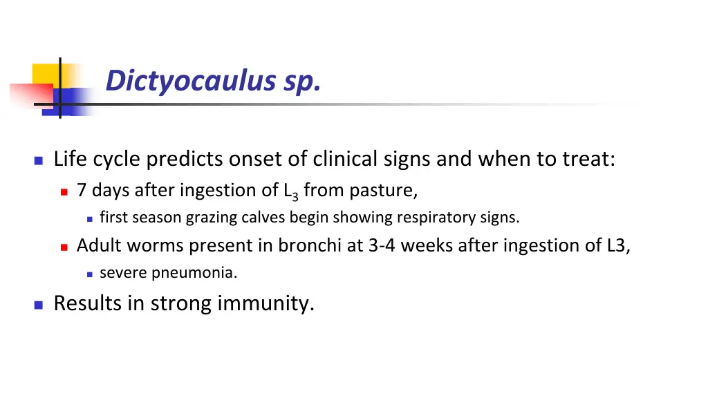 dictyocaulus sp 1