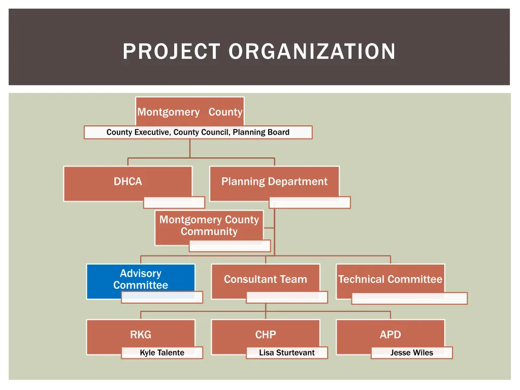 project organization