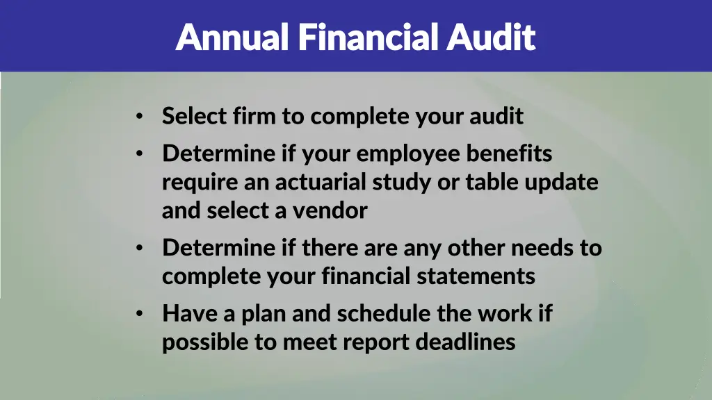 annual financial audit annual financial audit