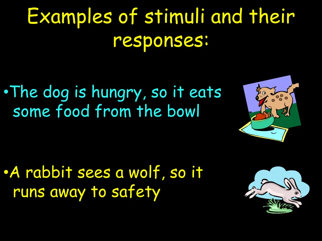 examples of stimuli and their responses