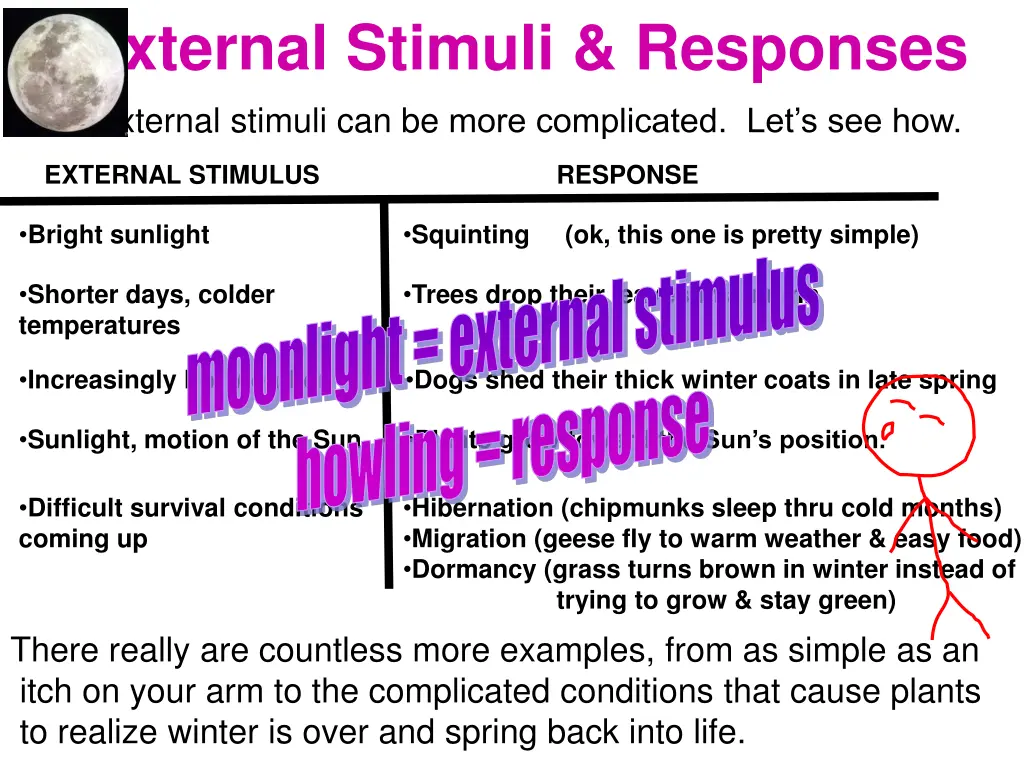 external stimuli responses external stimuli