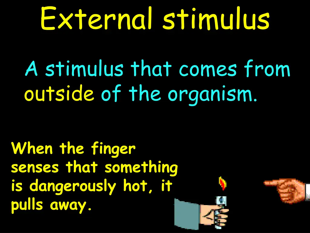 external stimulus