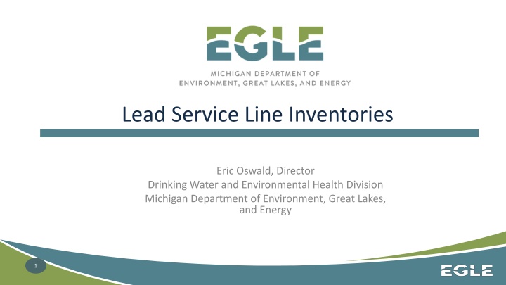 lead service line inventories