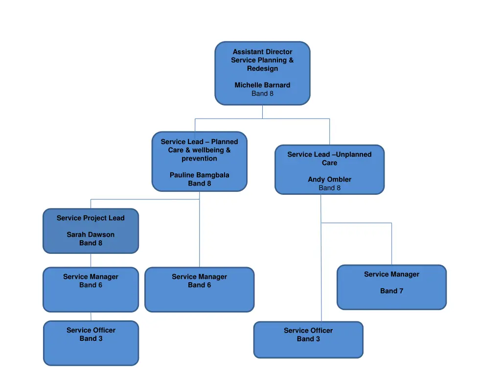 assistant director service planning redesign