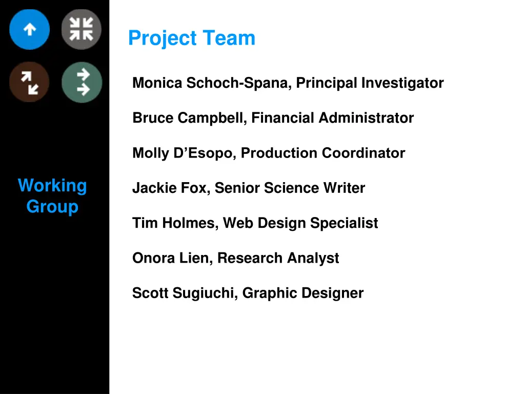 project team