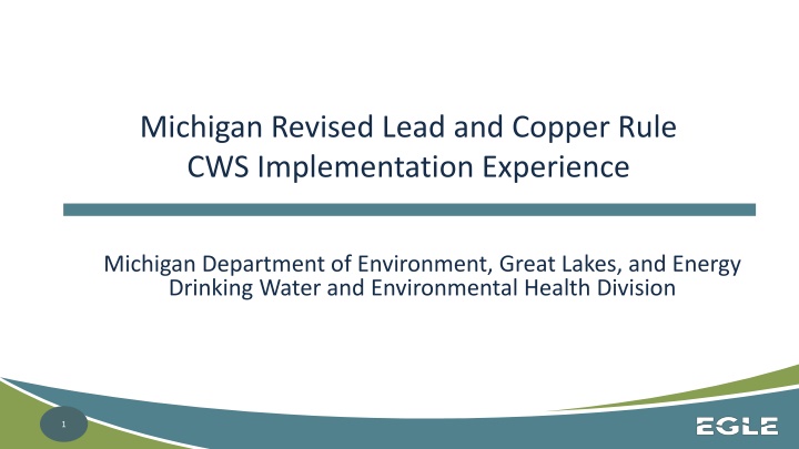 michigan revised lead and copper rule