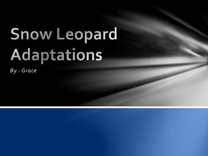 snow leopard adaptations