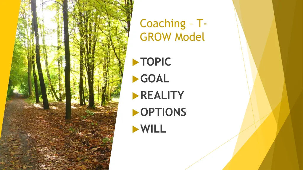 coaching t grow model