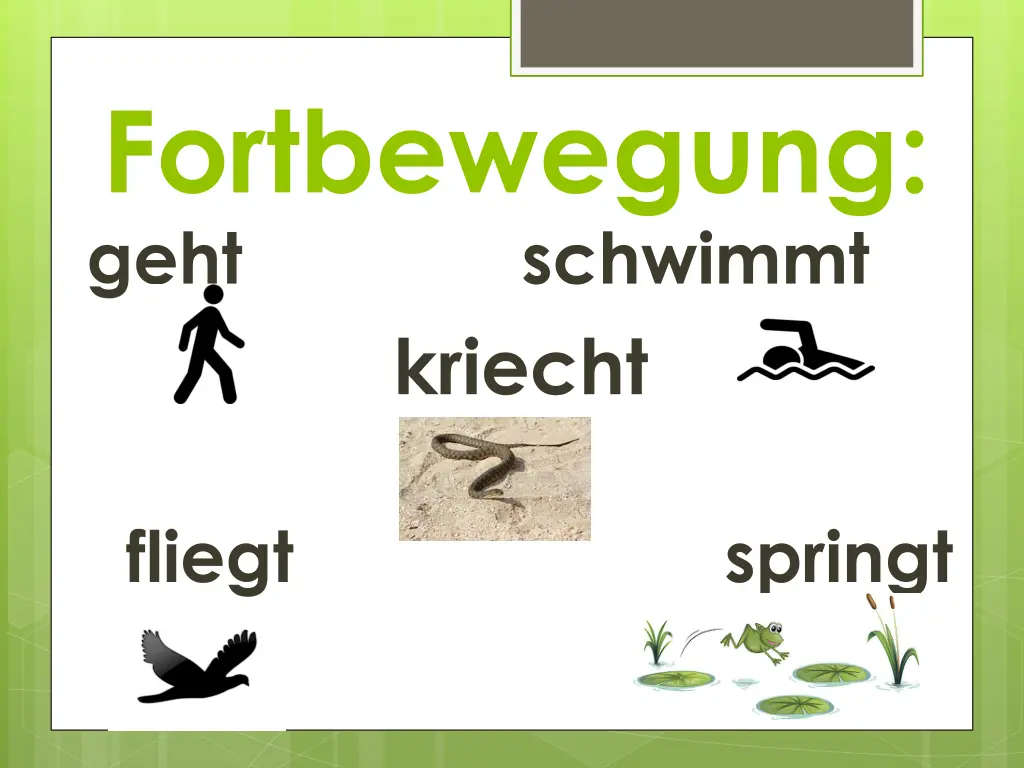 fortbewegung geht schwimmt kriecht