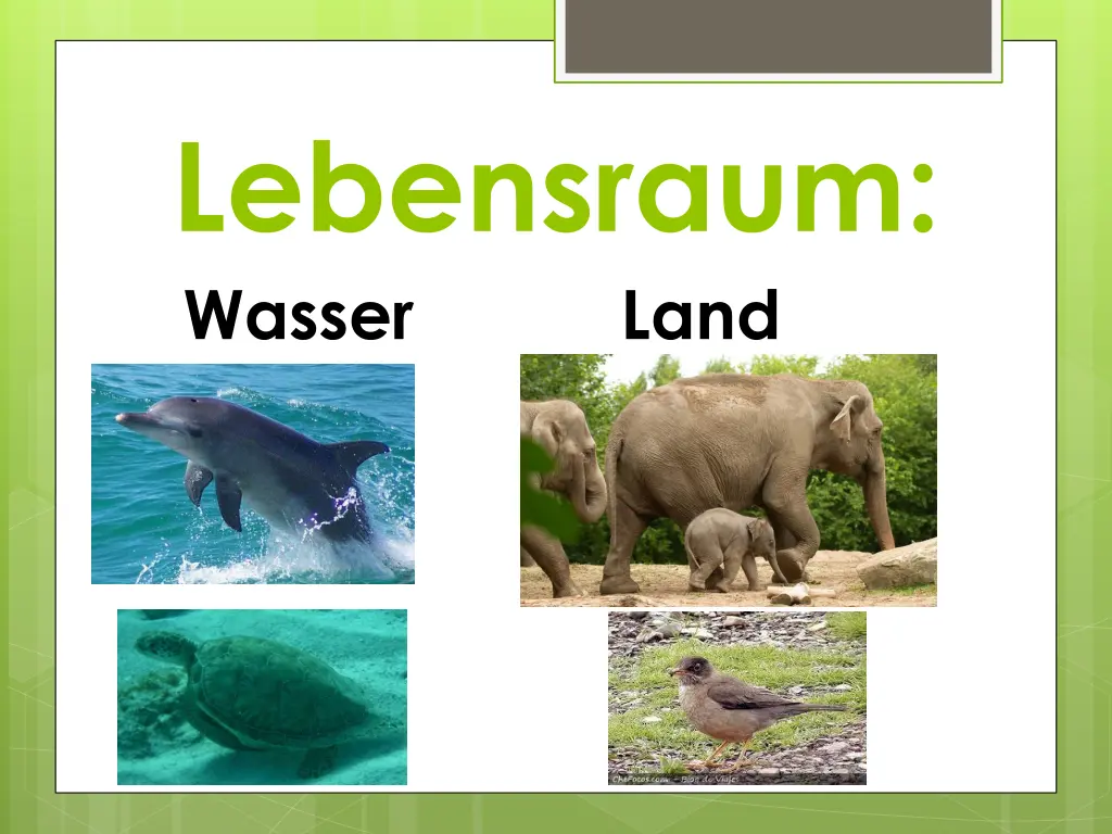 lebensraum wasser