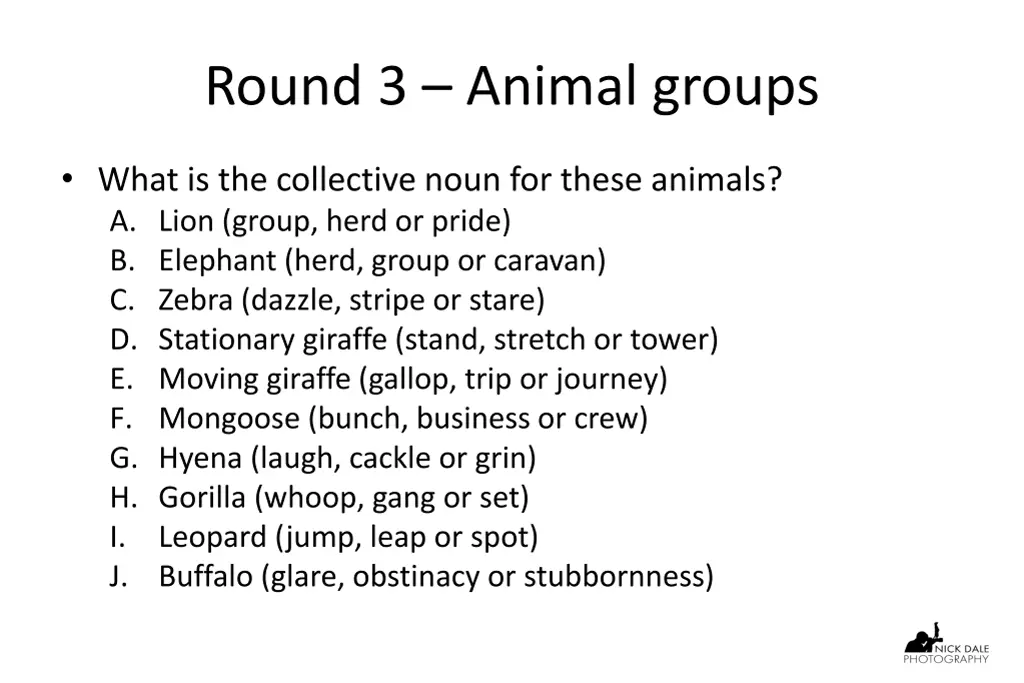 round 3 animal groups