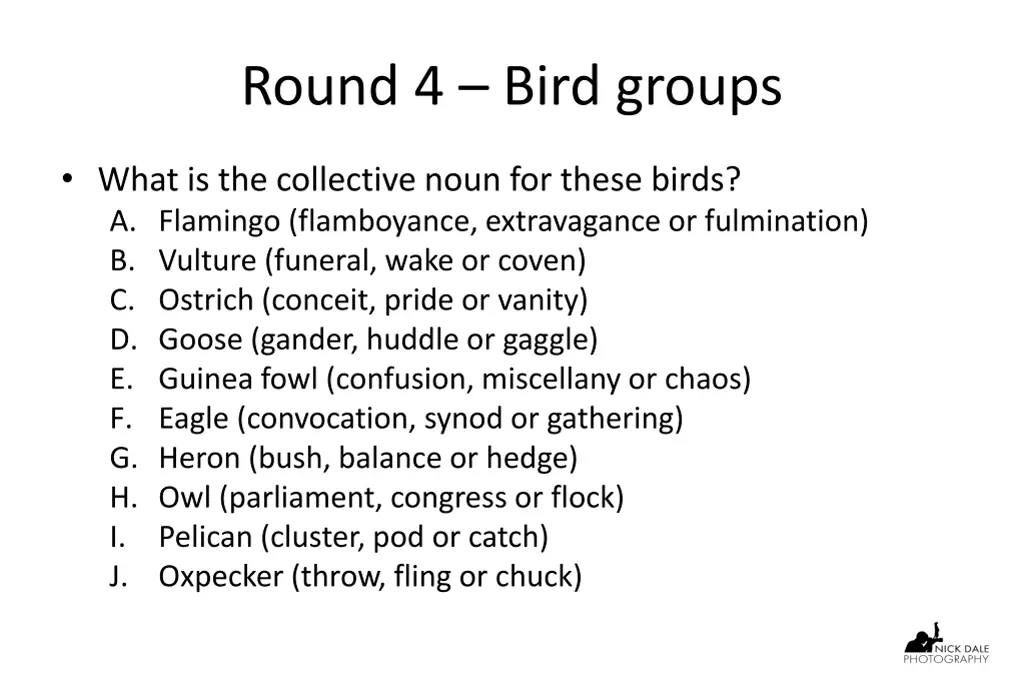 round 4 bird groups