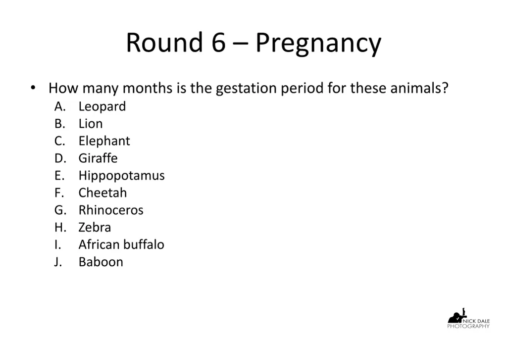 round 6 pregnancy