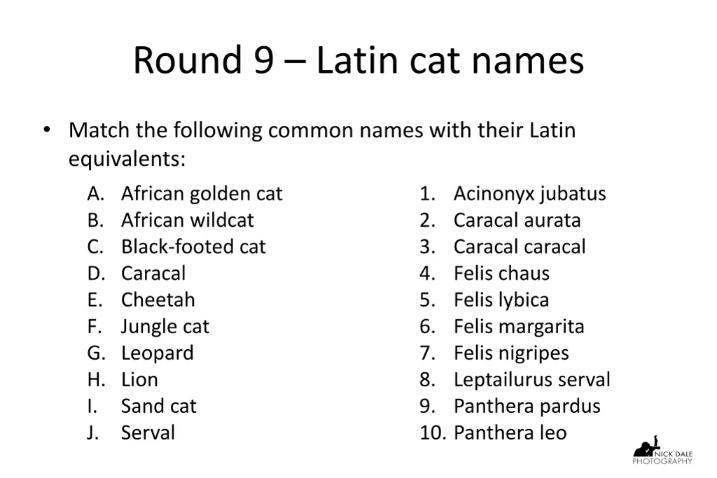 round 9 latin cat names