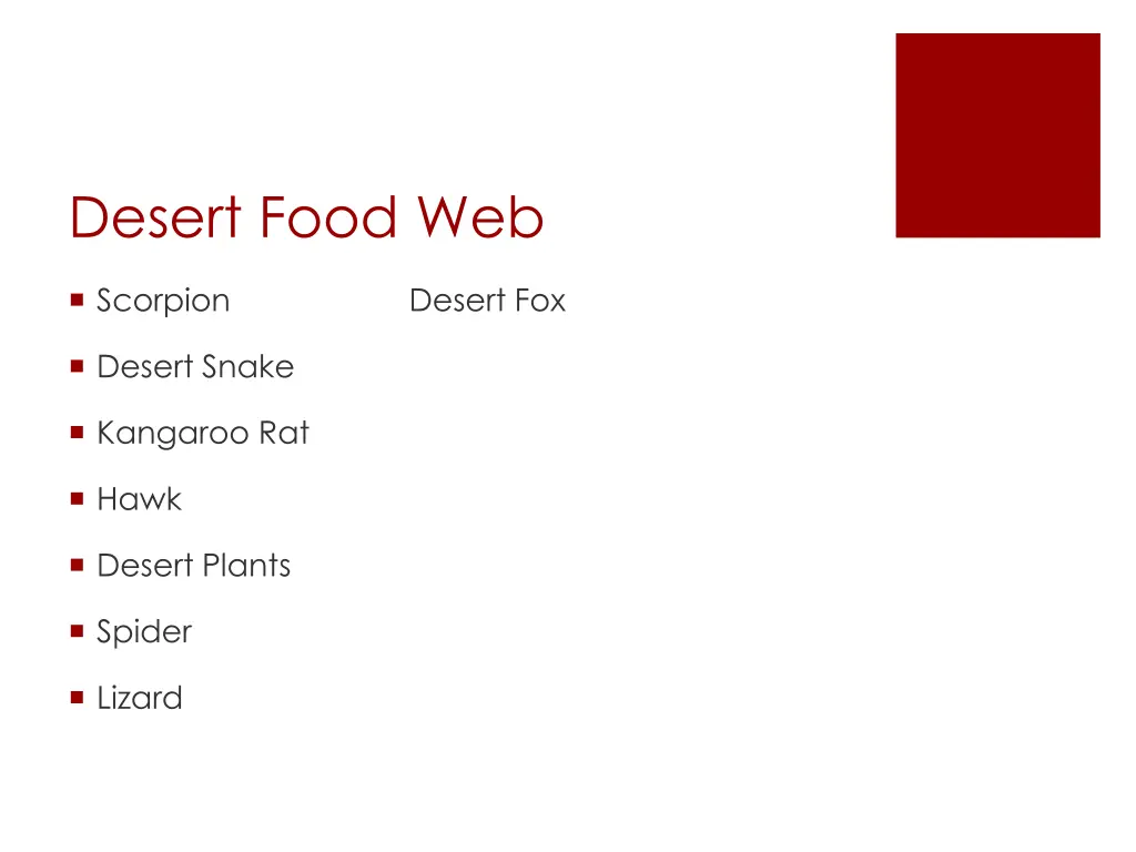 desert food web