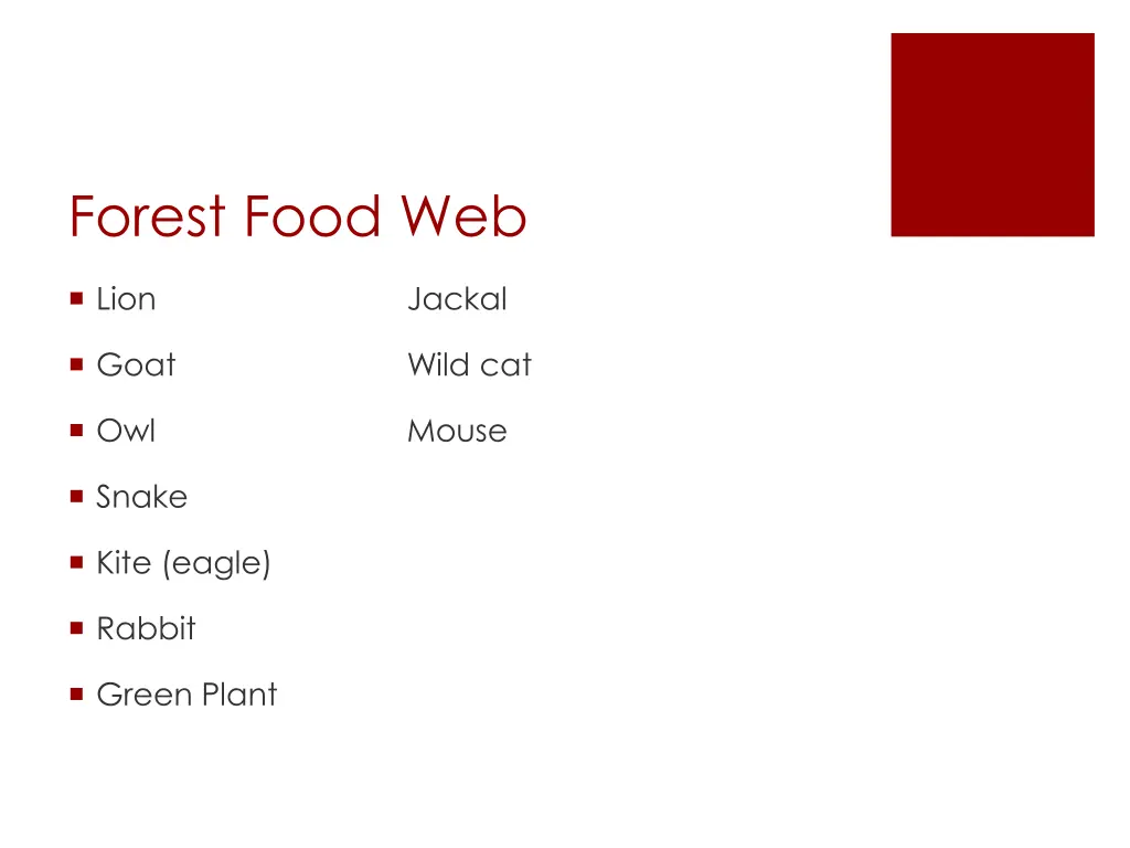 forest food web