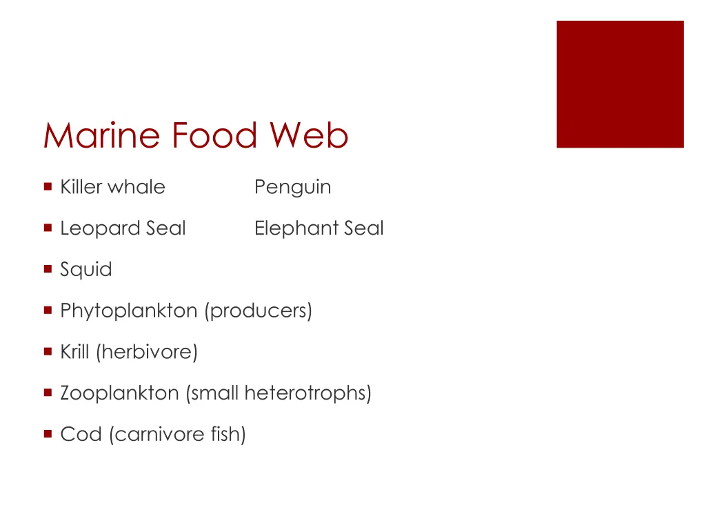 marine food web