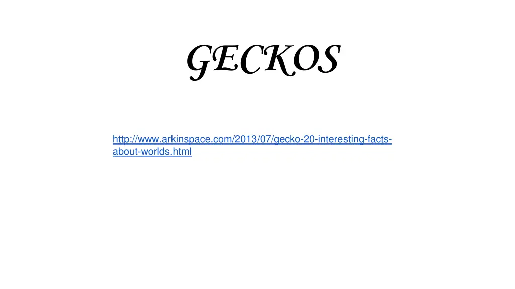 geckos