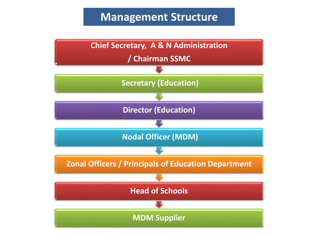 management structure