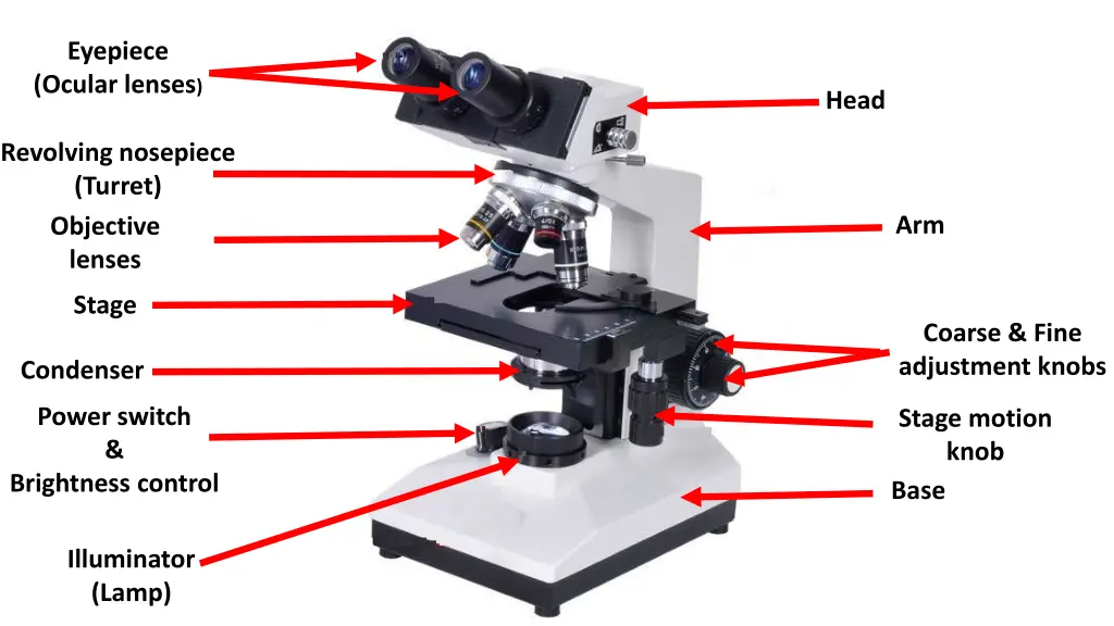 eyepiece ocular lenses