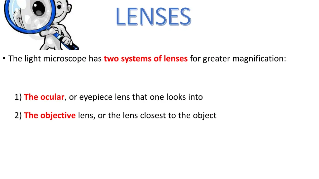 lenses lenses