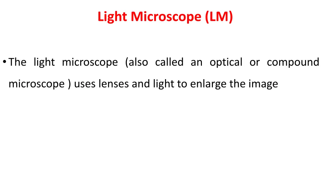 light microscope lm