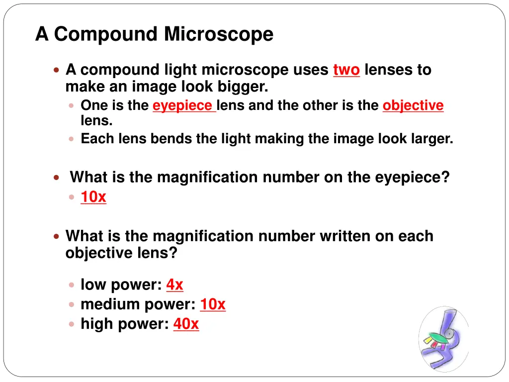 a compound microscope