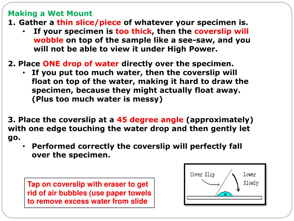 making a wet mount 1 gather a thin slice piece