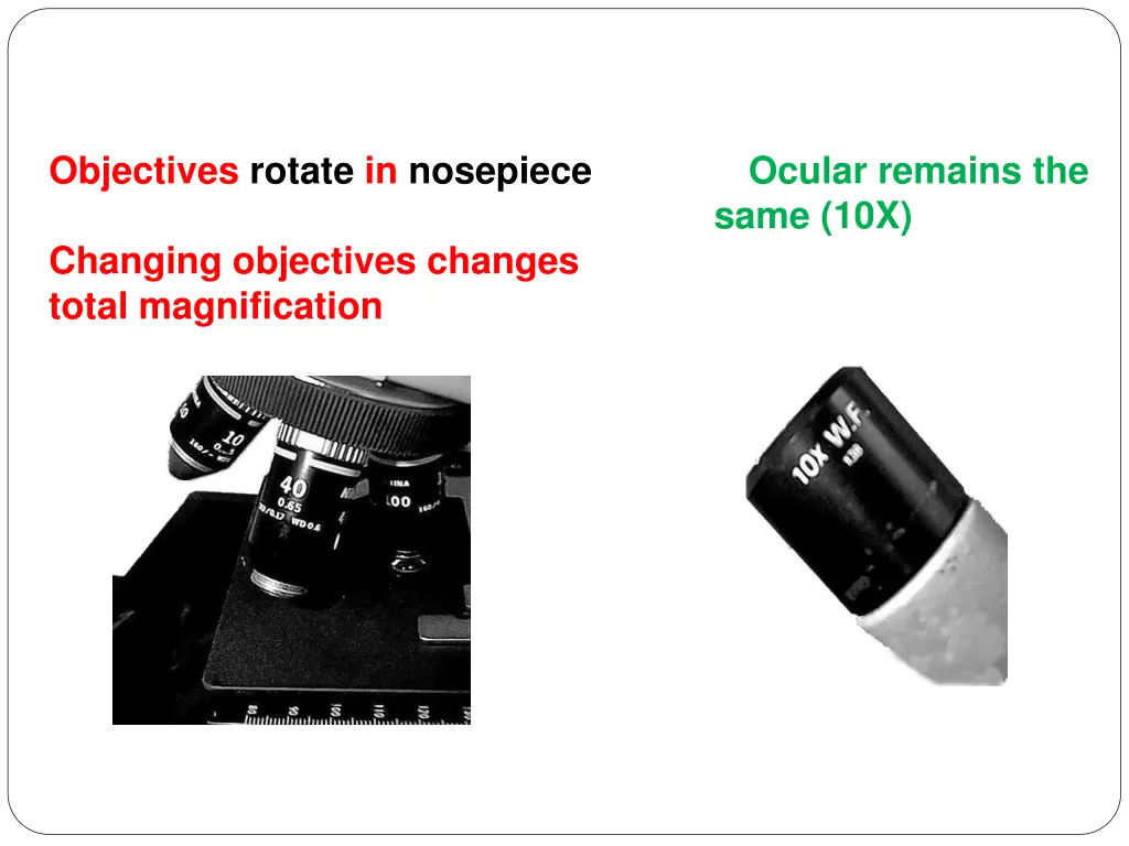 objectives rotate in nosepiece ocular remains