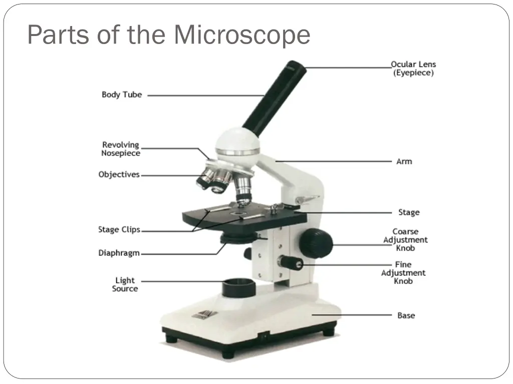 parts of the microscope