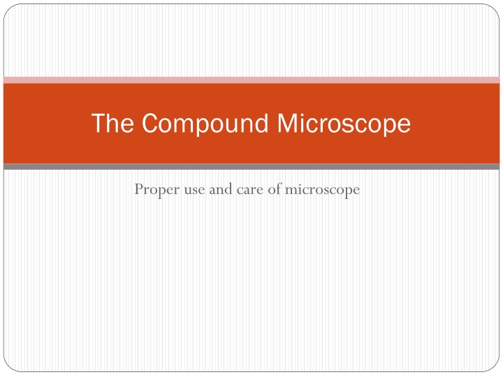 the compound microscope