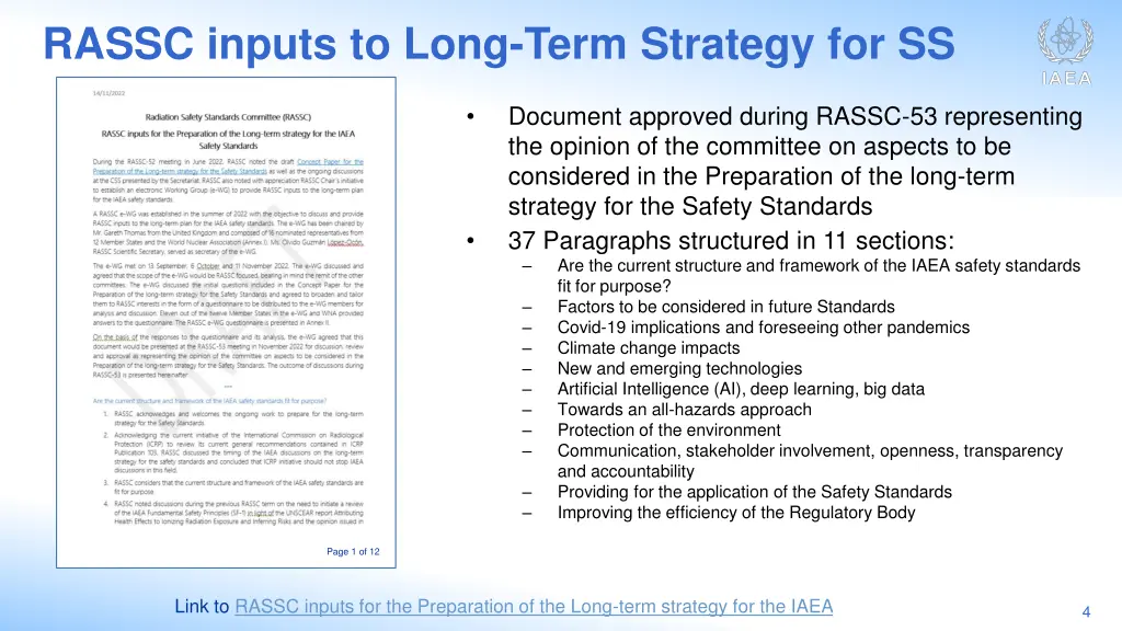 rassc inputs to long term strategy for ss