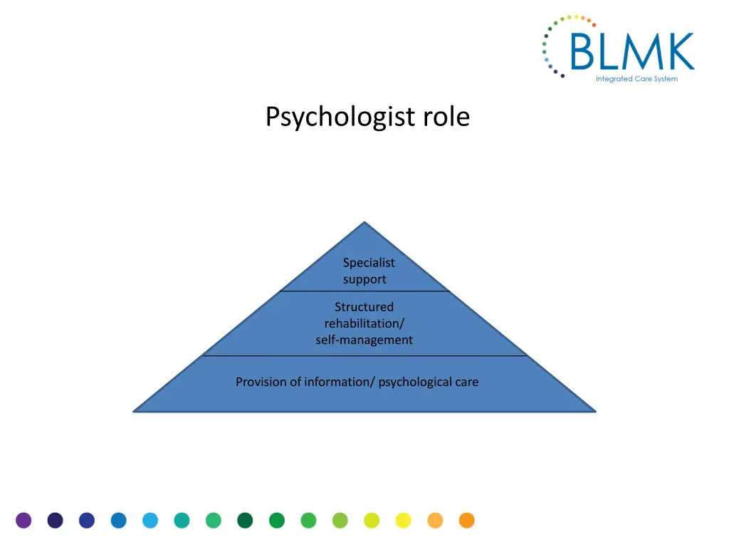 psychologist role