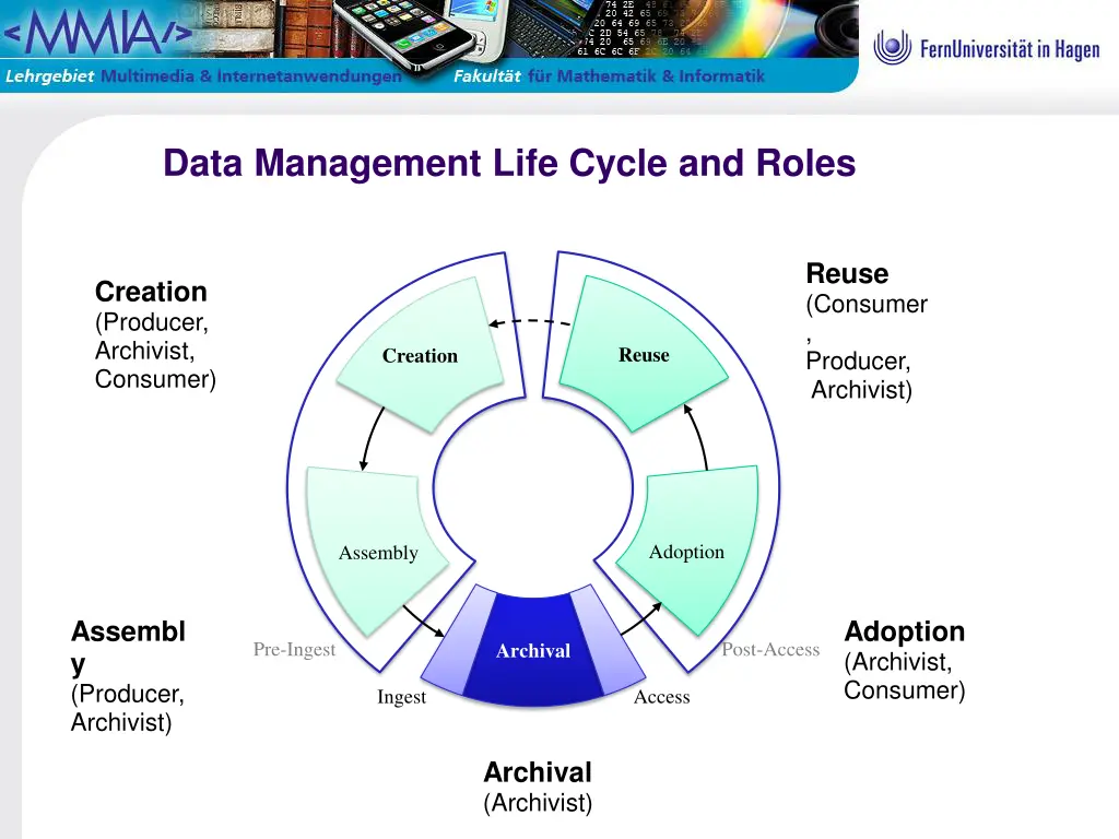 data management life cycle and roles