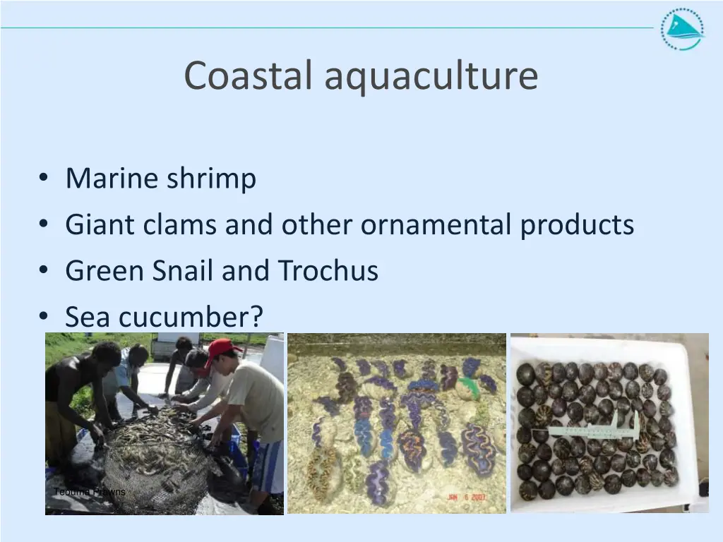 coastal aquaculture