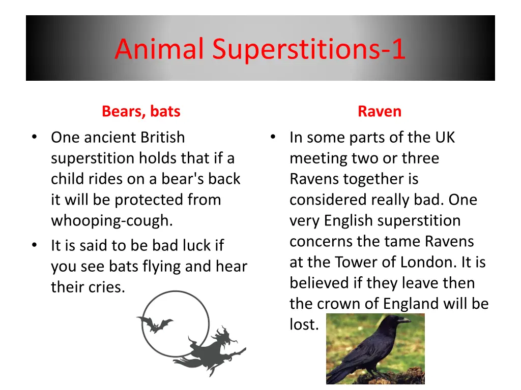 animal superstitions 1