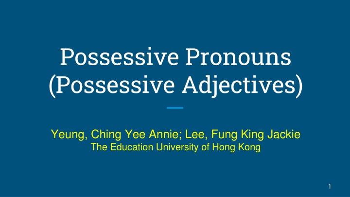 possessive pronouns possessive adjectives